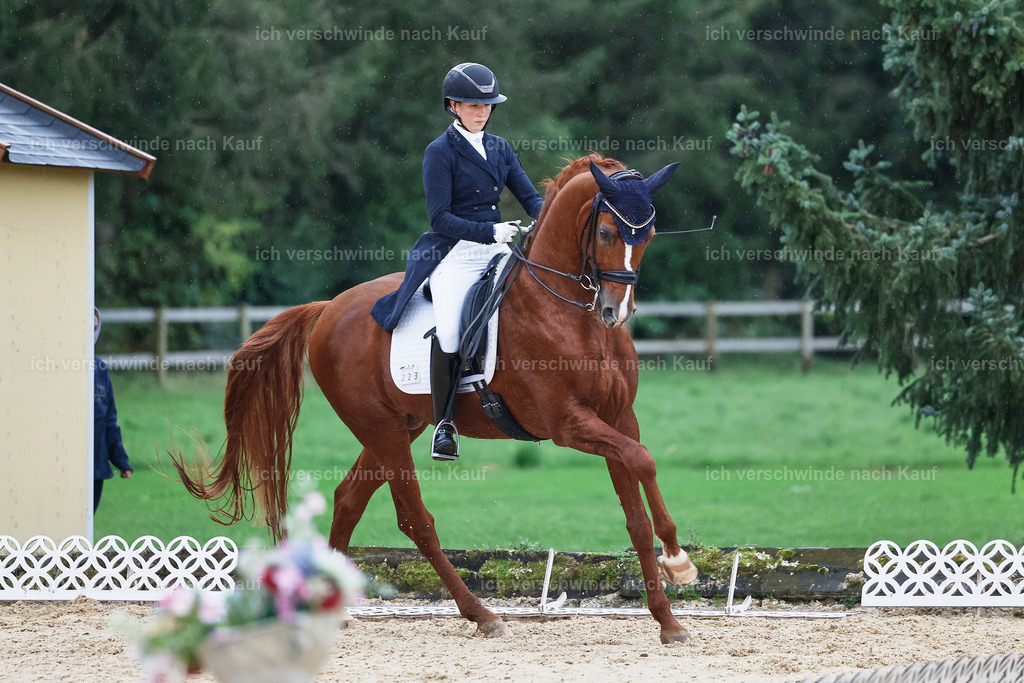 8_1-223-Klasse S_  -StoibPH-3950 | working equitationturnier fotograf videograf stoibphotography marixx film working equitation deutschland reitsport turnierfotografie eventfotografie equestrian events