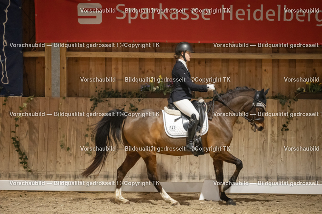 _D5A0667 | Emotionale Pferde- & People-Fotografie rund um Heidelberg, Leimen & Umgebung. Natürliche Fotos von Pferd, Mensch & Familie. Jetzt Termin sichern!