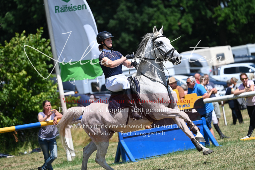 DSC_0619 | Pferde- und Turnierfotografie in Westsachsen. Pferdeportraits, Auftragszeichnungen und intuitive Kunst.