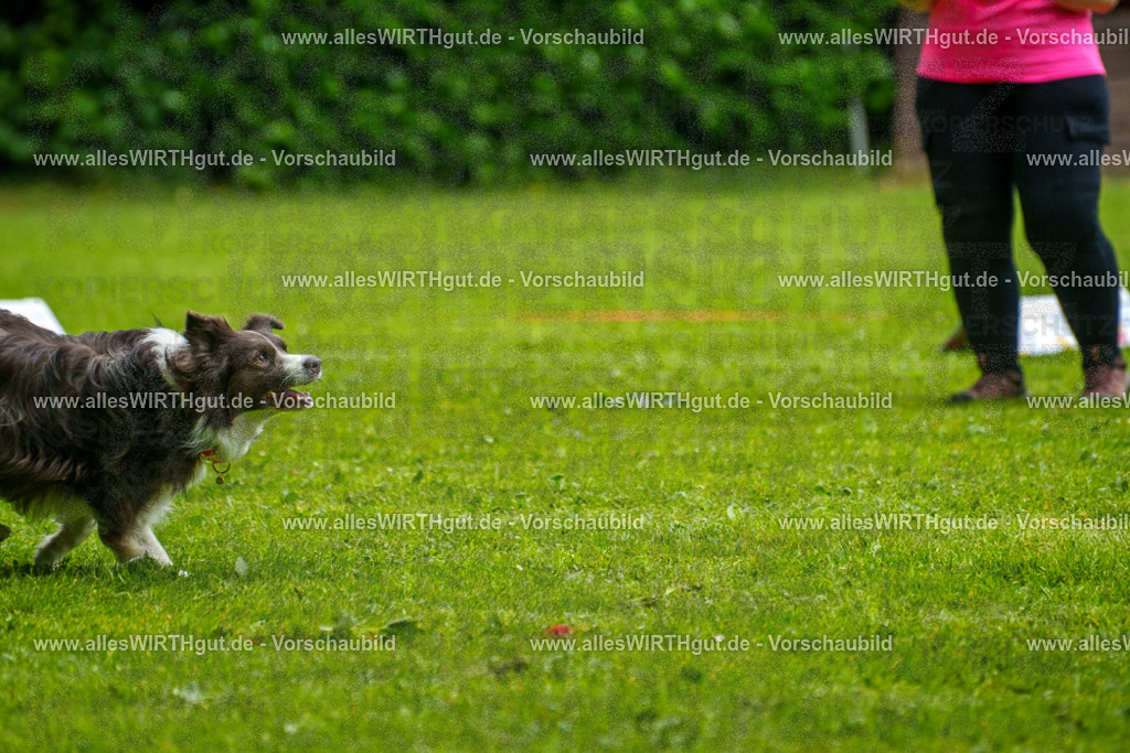 @allesWIRTHgut_Tierfotografie - www.allesWIRTHgut.de - 7R503519 | Professionelle Tierfotografie in Mönchengladbach von Daniel Wirth (allesWIRTHgut). Liebevolle & natürliche Bilder von Hunden & Katzen für unvergessliche Erinnerungen.