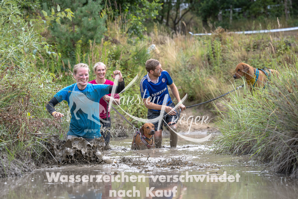 1243_ZZ91217 | kk-dogfotos