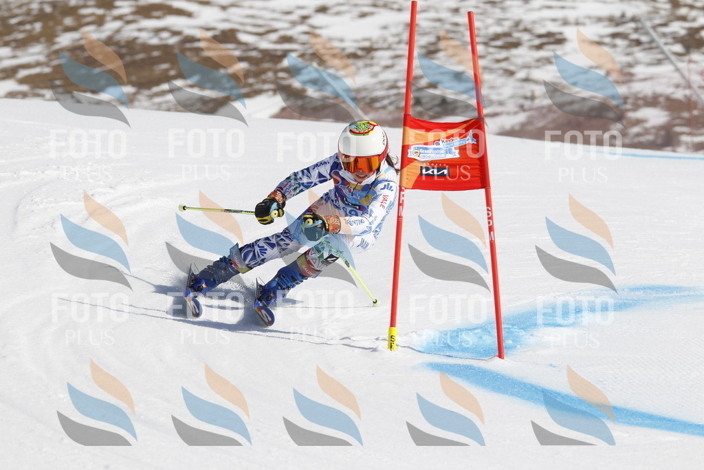 _U3G9390 | holidayphoto