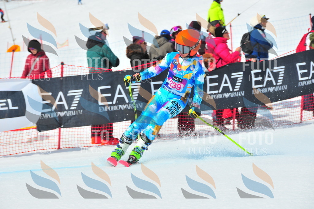 DSC_5975 | holidayphoto