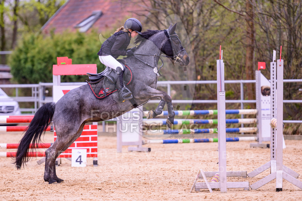 12042026-Mammendorf-Prfg38-0766 | Fokus Hufschlag Fotografie - Realisiert mit Pictrs.com