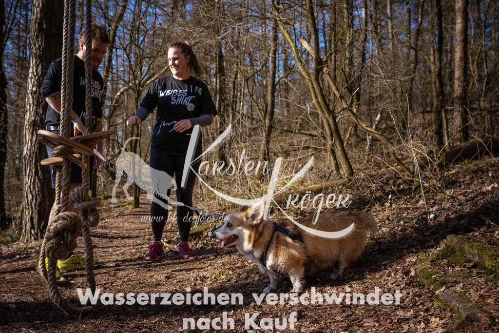 0925_ZZ97837 | kk-dogfotos