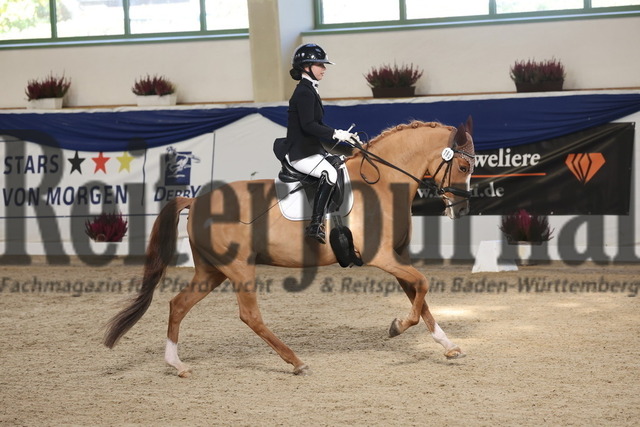 Ising_2025_Prfg.Nr.20_Pony-Dressurprfg.Kl.L_Kür_Lakeysha Eiselt_Crown Wishing Well (3) | Alle Fotos der Reiterjournal Fotografin Doris Matthaes im Reiterjournal Online-Fotoshop. - Realisiert mit Pictrs.com