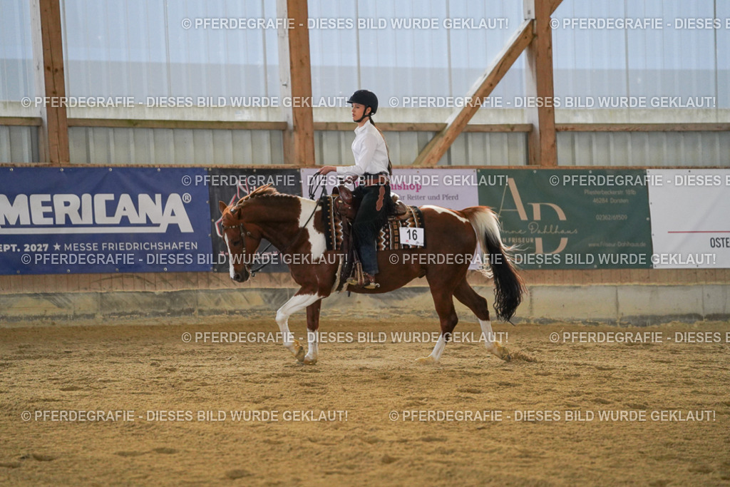 DSC09017 | Pferdegrafie