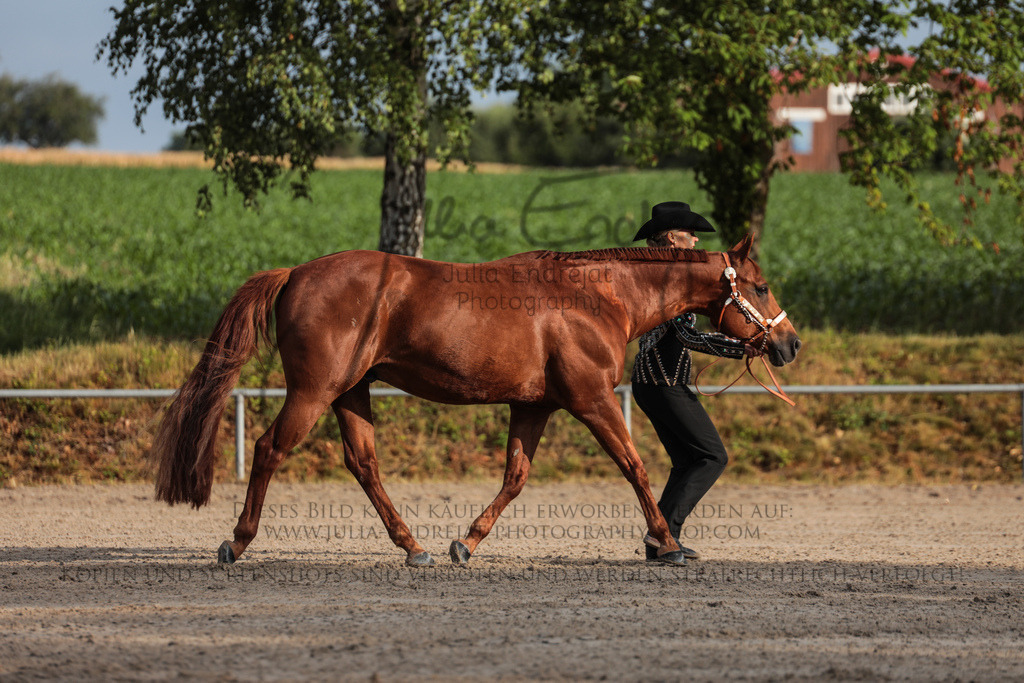 20230702-JuliaEndrejatPhotography-0043 | Julia Endrejat Photography