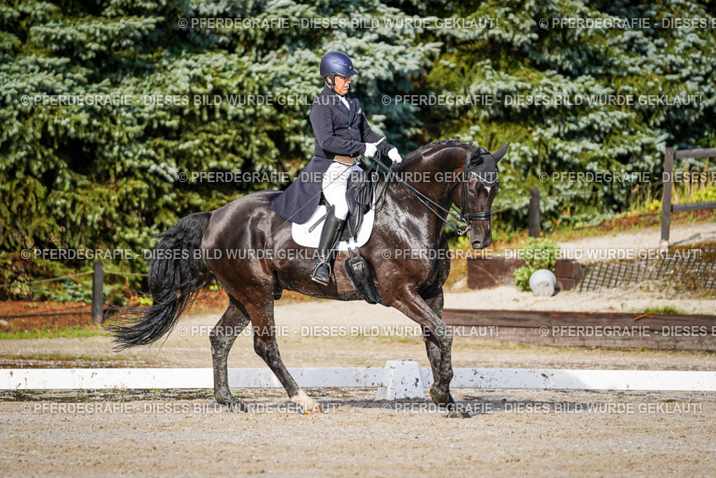 DSC00563 | Pferdegrafie