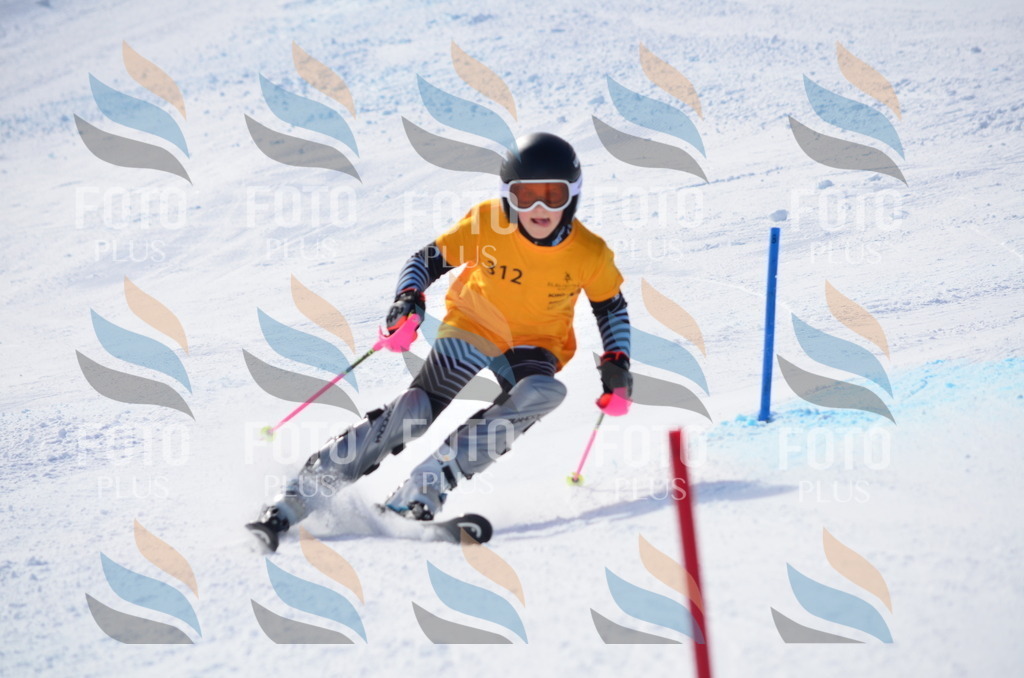 C9536 | holidayphoto