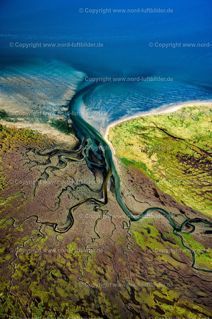 Memmert_Seegraswiesen_ELS_3869231021 | NORDSEEINSEL MEMMERT 23.10.2021 Kurvenförmige Schleifen mehrerer Fluss- Verläufe auf der grünen naturgeschützten Nordsee- Insel Memmert bei Juist mit Wattenmeer und vorgelagerter Sandbank Kachelotplate im Bundesland Niedersachsen. Weiterführende Informationen bei: Niedersächsischer Landesbetrieb für Wasserwirtschaft, Küsten- und Naturschutz. // Curved loops of several converging rivers flowing into the Wadden Sea on the green environmentally protected North Sea island Memmert in Juist and the sandbank Kachelotplate in the state Lower Saxony. Further information at: Niedersaechsischer Landesbetrieb fuer Wasserwirtschaft, Kuesten- und Naturschutz. Foto: Martin Elsen