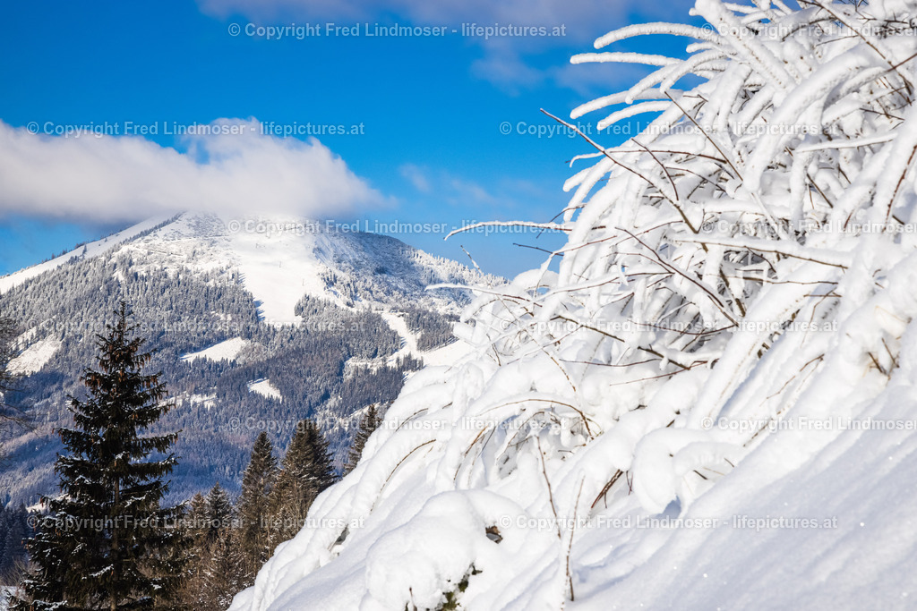 Mariazell Seilbahn Basilika Winter Schnee 11012021-0775 | Fotos und Fotoprodukte - Realisiert mit Pictrs.com