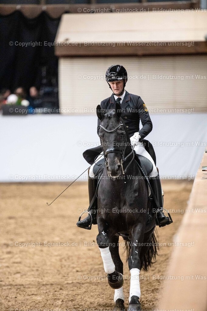 20260307_Hengstvorstellung-Marbach_0477 | equistock