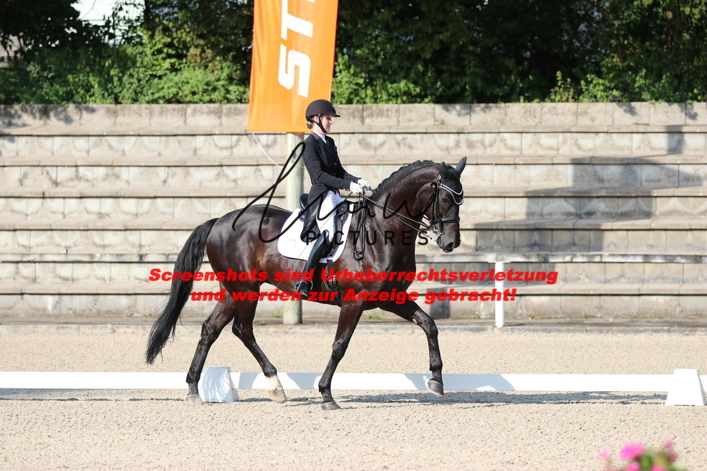 IMG_8811 | lmwpictures - Realisiert mit Pictrs.com