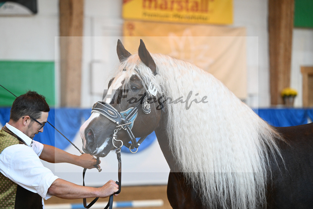 Kat-Nr. 97 Verry_Woerndl_53220639 | hf-fotografie - Realisiert mit Pictrs.com