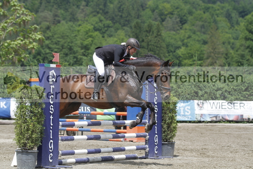 _MG_5201 | equestrian-live-com