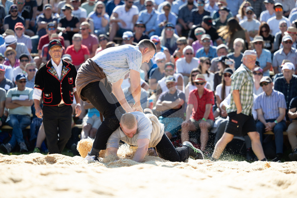 Rigi2025_2937 | Die Schwinger des Schwyzer Kantonalen Schwingerverbandes: Fotos, die Dynamik und Leidenschaft festhalten, sowie emotionale Momente aus dem traditionellen Schwingsport zeigen. - Realisiert mit Pictrs.com