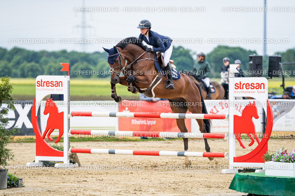 DSC04904 | Pferdegrafie