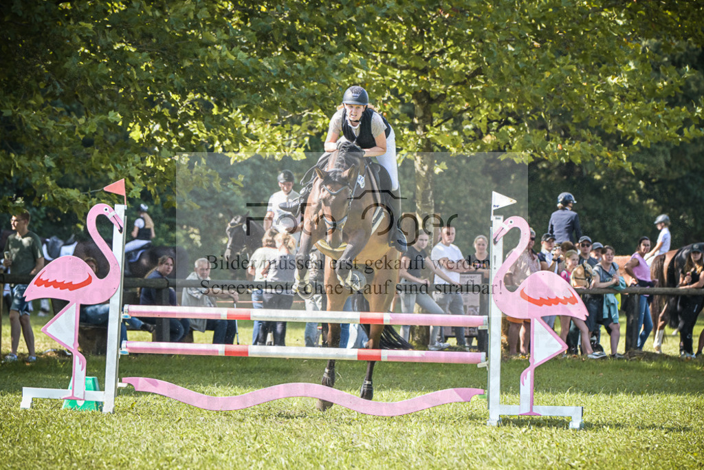 DOS_0487 | Entdecke hochwertige Reitturnierfotos von Foto Oger. Professionell, emotional und authentisch – jetzt Lieblingsmomente im Shop bestellen.Deutschlandweite Turnierfotografie. - Realisiert mit Pictrs.com
