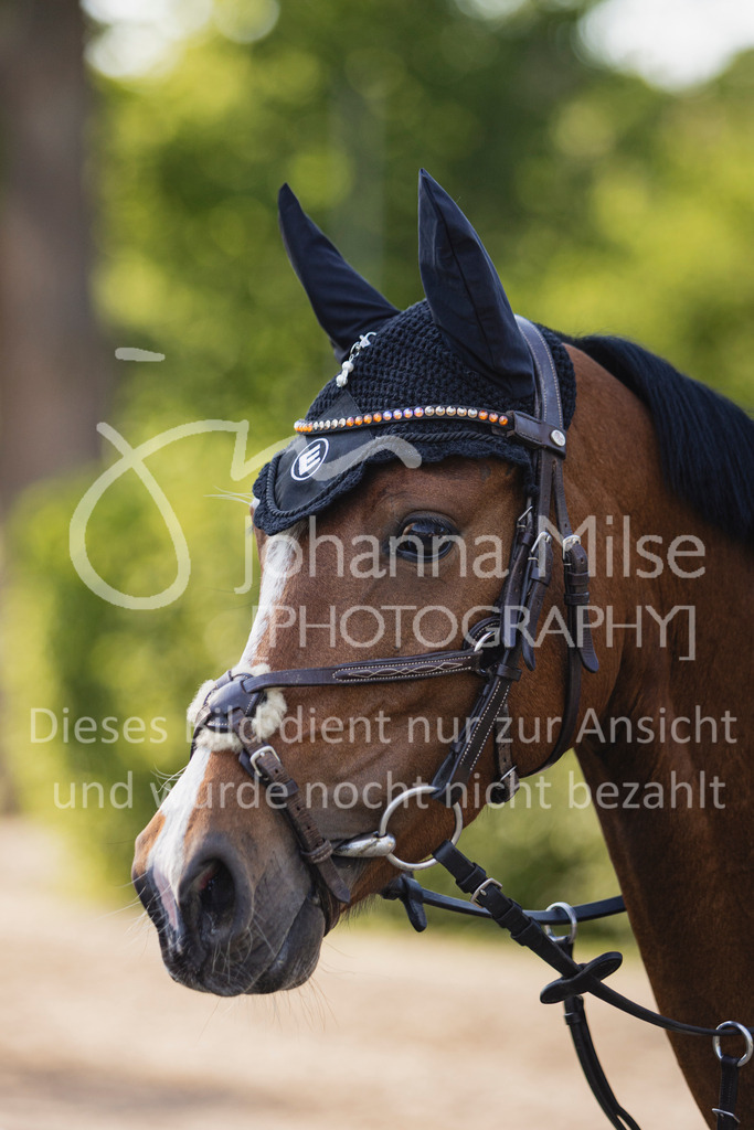 250501_MünsterHandorf_PonyTrophy-231 | Deine schönsten Turniermomente als professionelle Fotos! Entdecke hochwertige Pferdesport-Fotografie im Online-Shop. Jetzt Fotos finden & bestellen!
