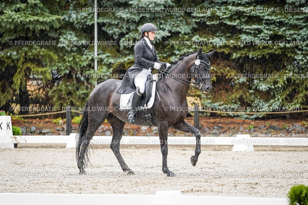 DSC08486 | Pferdegrafie