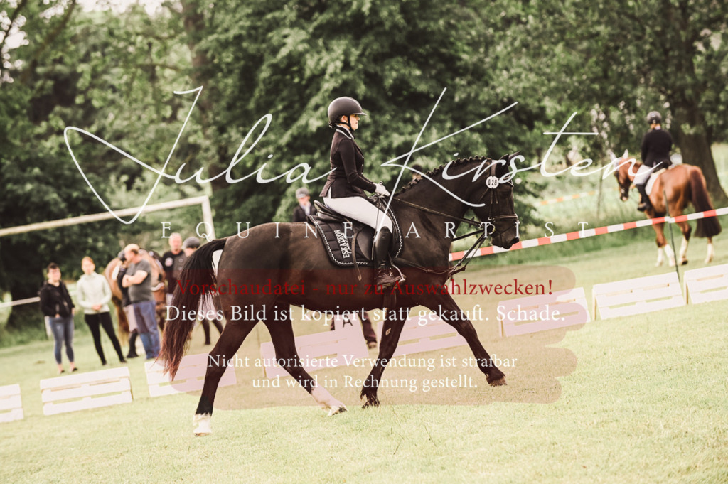 DSC_4899 | Pferde- und Turnierfotografie in Westsachsen. Pferdeportraits, Auftragszeichnungen und intuitive Kunst.