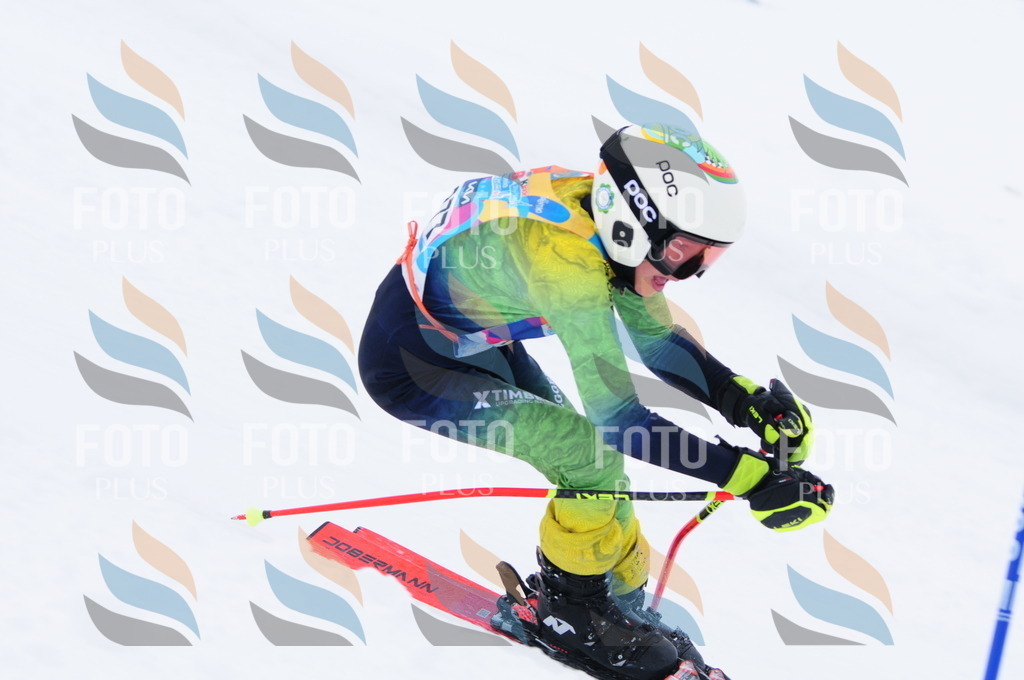 C2941 | holidayphoto