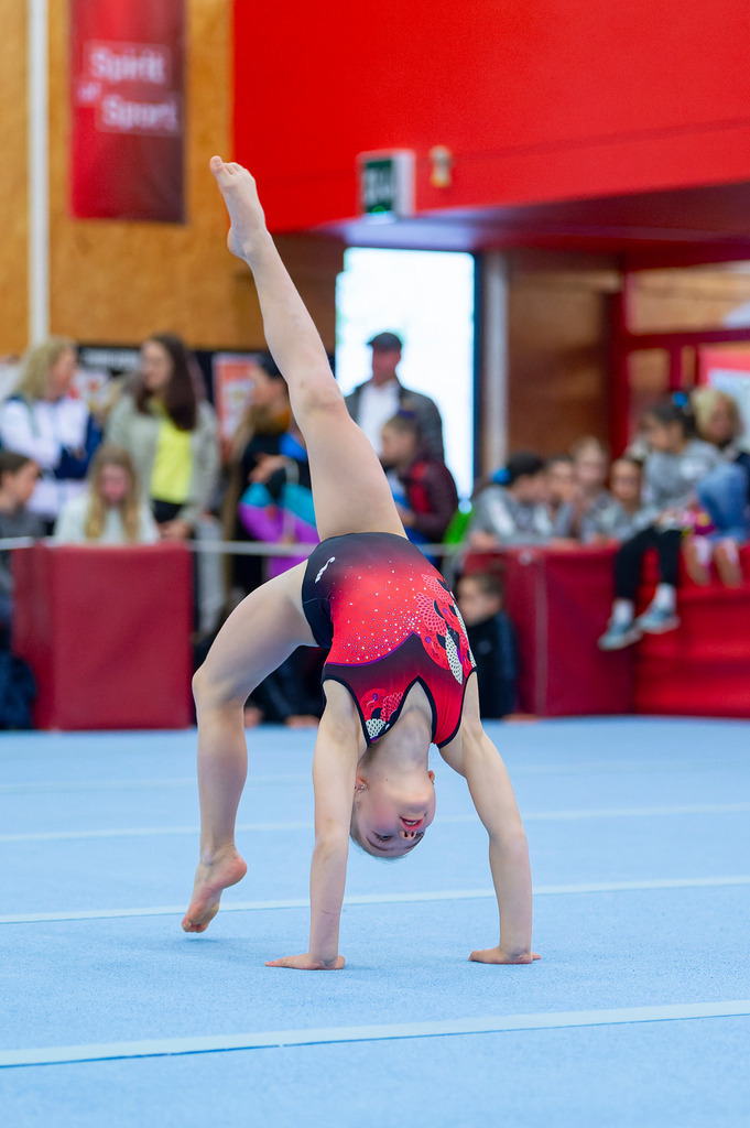 _D4S6568_DxO-1 | photoluigi