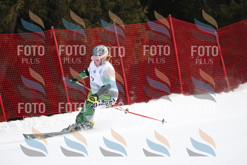 D4656 | holidayphoto