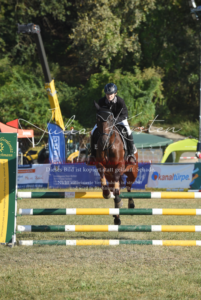 DSC_5215 | Pferde- und Turnierfotografie in Westsachsen. Pferdeportraits, Auftragszeichnungen und intuitive Kunst.