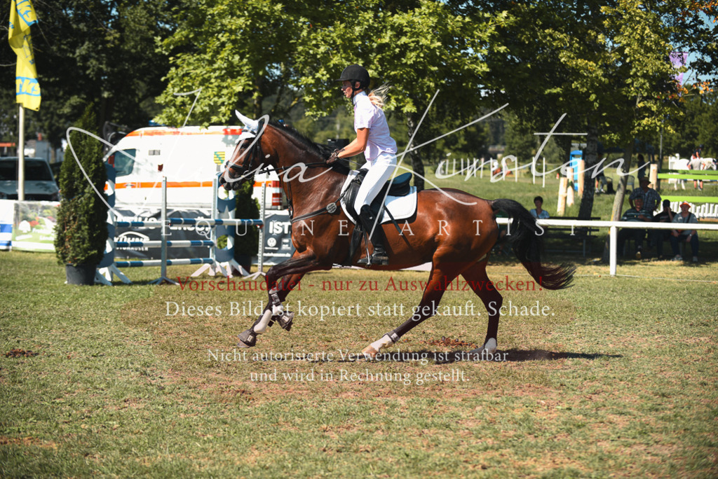 DSC_7167 | Pferde- und Turnierfotografie in Westsachsen. Pferdeportraits, Auftragszeichnungen und intuitive Kunst.