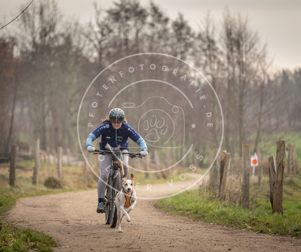 Pfotenfotografie_DV3A1749 | Hundefotografie, Tierfotograf, Pfotenfotografie, Fotoshooting Hund, Hunde Portrait, Hundesport, Hundeportraits, Heideshooting, Hunde, Sportfotograf, Hundefotograf, Turnierhundsport, THS,  - Realisiert mit Pictrs.com