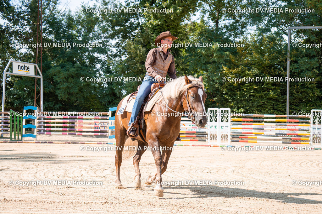 ZH100676 | dv-media-shop - Realisiert mit Pictrs.com