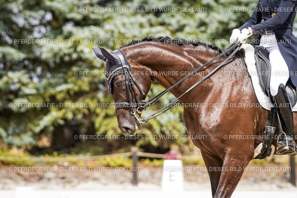 DSC06062 | Pferdegrafie