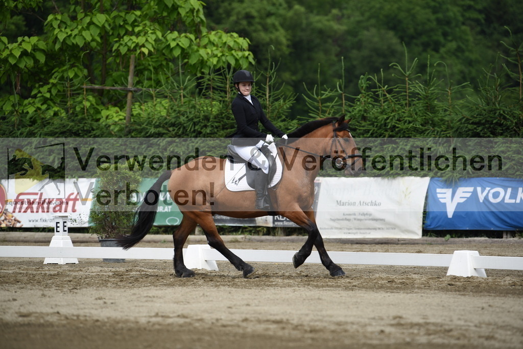 DSC_8297 | equestrian-live-com