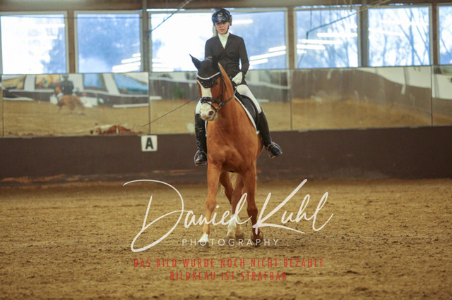 IMG_7068 | Turniersportfotografie; Pferdefotografie; Dressurfotografie