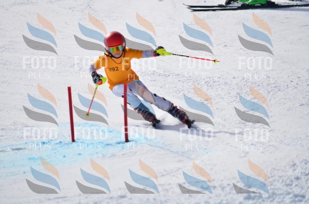 C8701 | holidayphoto