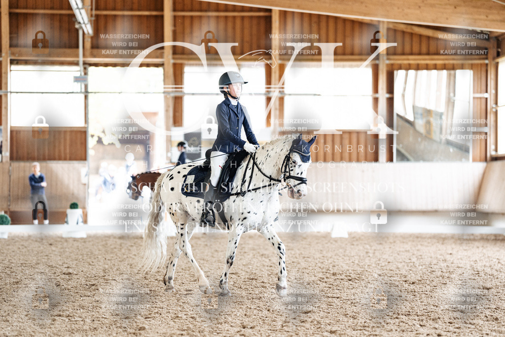 CK901375 | Turnierfotografie Pferdefotografie Trier Rheinland-Pfalz Pferdesport Reitsport Tierfotografie Sportfotografie Pferdevideo Pferdevideografie Equestrianvideography equestrianphotography  - Realisiert mit Pictrs.com