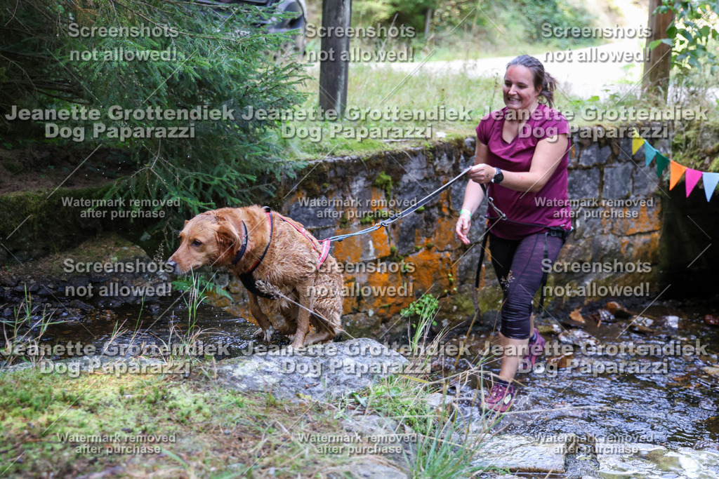 Dog Paparazzi -  TH 26-534 | Dog Paparazzi Jeanette Grottendiek Fotografie & Videografie - Realisiert mit Pictrs.com