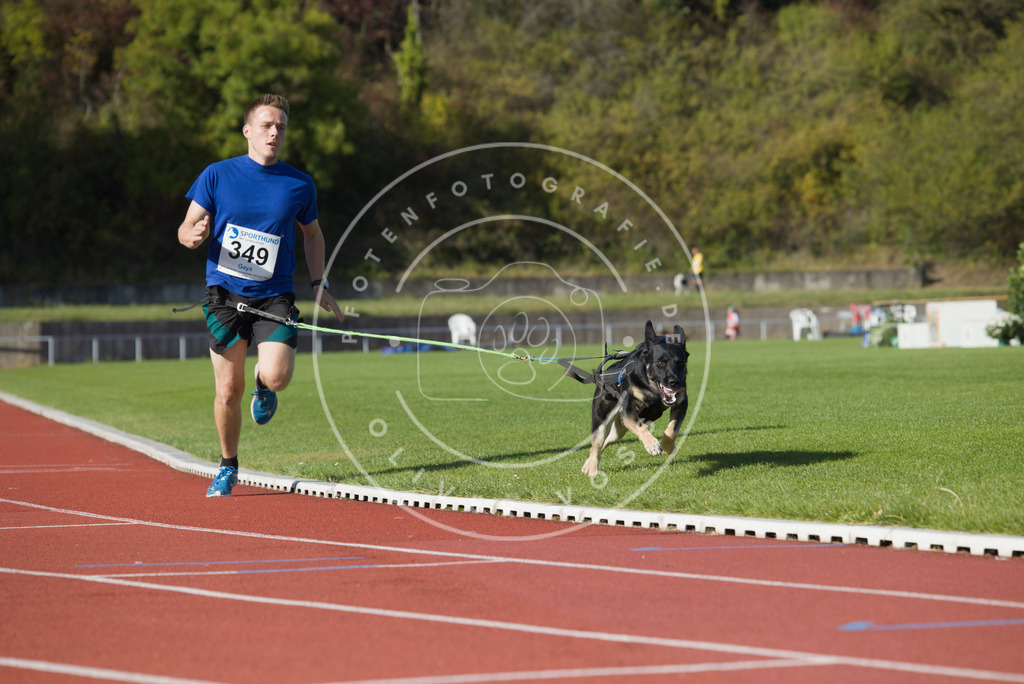 0L8A9495 | Hundefotografie, Tierfotograf, Pfotenfotografie, Fotoshooting Hund, Hunde Portrait, Hundesport, Hundeportraits, Heideshooting, Hunde, Sportfotograf, Hundefotograf, Turnierhundsport, THS,  - Realisiert mit Pictrs.com