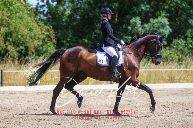 DKP46404 | Turniersportfotografie; Pferdefotografie; Dressurfotografie