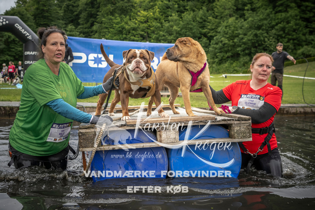 1004_ZZ93958 | kk-dogfotos