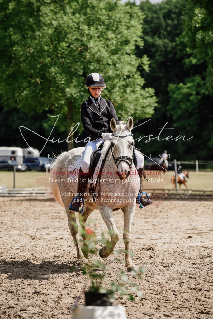 DSC_0537 | Pferde- und Turnierfotografie in Westsachsen. Pferdeportraits, Auftragszeichnungen und intuitive Kunst.