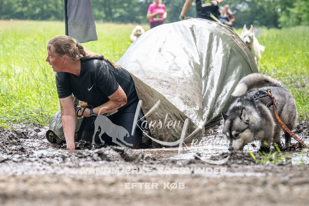 1105_ZZ91349 | kk-dogfotos