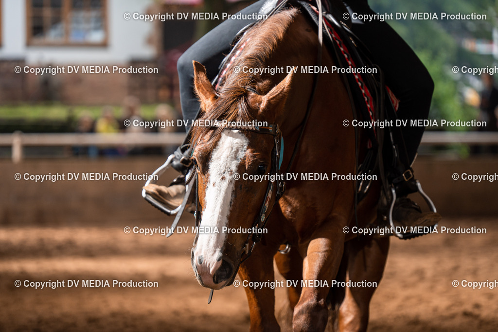 Erbach Tag 2-287 | dv-media-shop - Realisiert mit Pictrs.com