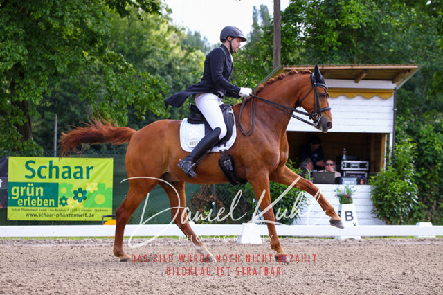 DKP41295 | Deine Turnierfotos vom Reitturnier online kaufen: Dressur, Springen & Siegerehrung. Professionelle Pferdefotografie aus dem Rheinland – als Download & Print.Alternative: Turnierfotograf für den Pferdesport: Finde deine Fotos von Dressur- und Springturnier
