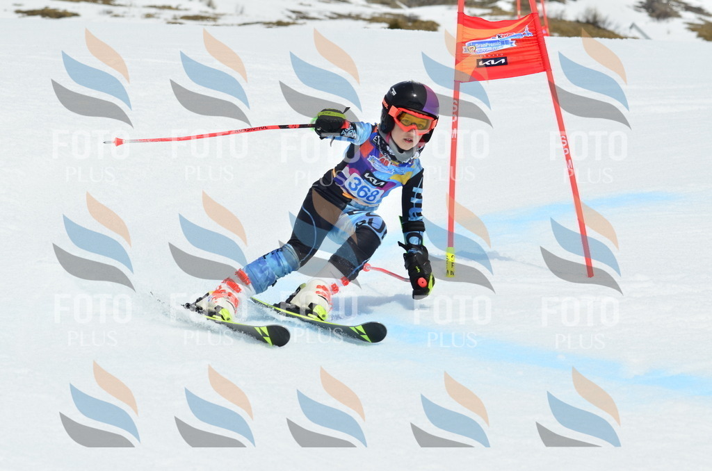 _ELE2989 | holidayphoto