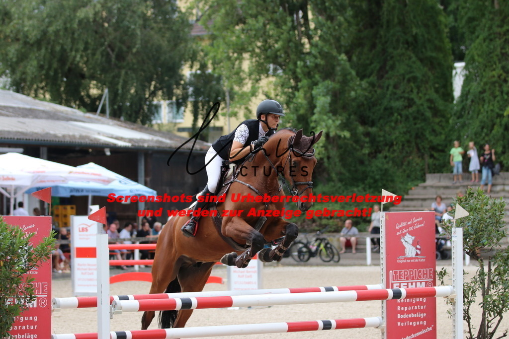 IMG_2254 | lmwpictures - Realisiert mit Pictrs.com