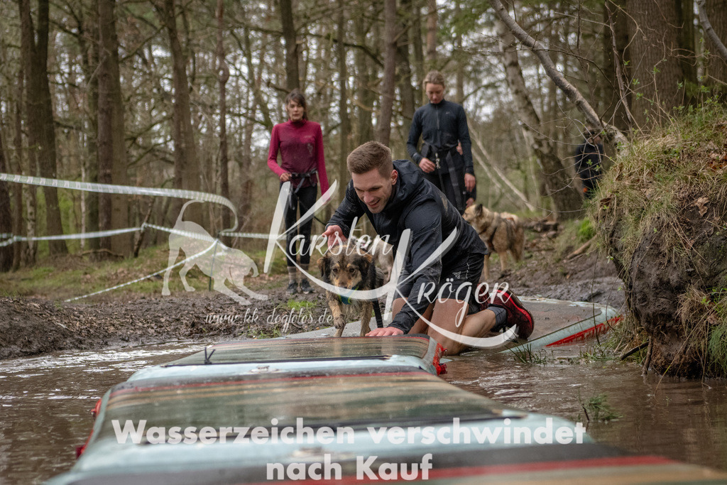 1131_ZZ93197 | kk-dogfotos