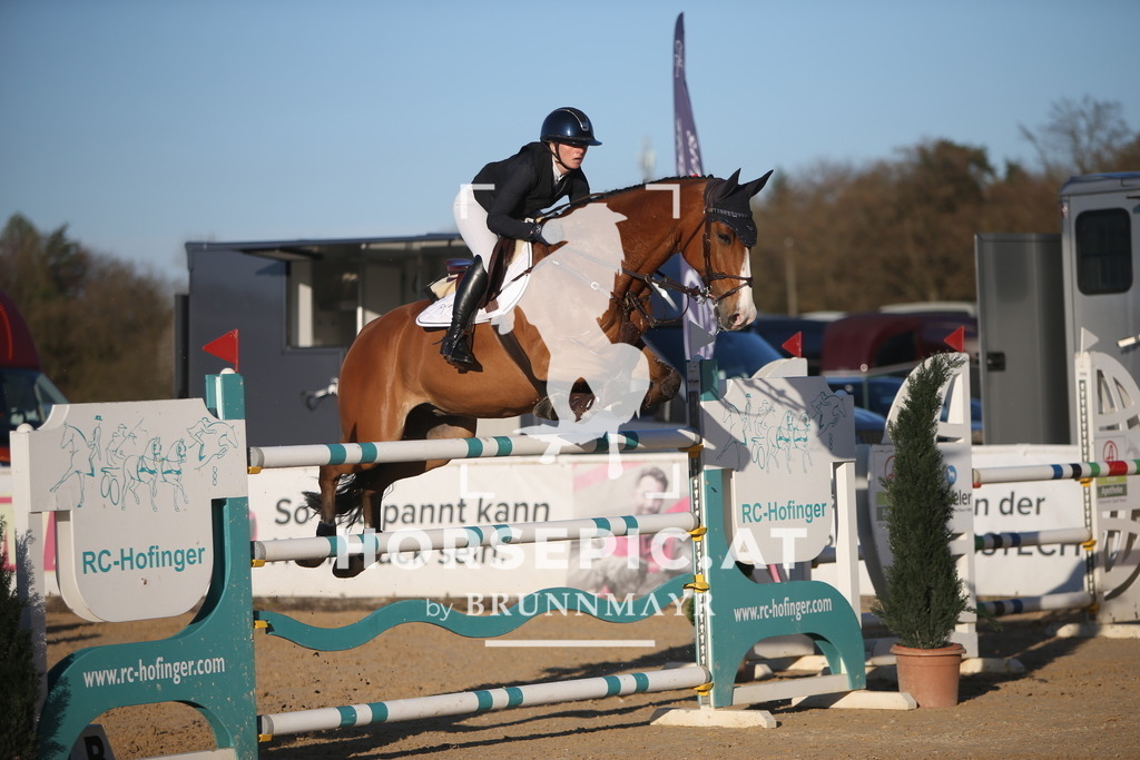 PP016319 | Willkommen bei Brunnmayr - Design & Fotografie – Ihrem Spezialisten für Reitturniere und Pferdeveranstaltungen in Oberösterreich, Salzburg und Bayern! Seit über 17 Jahren sind wir leidenschaftlich dabei.